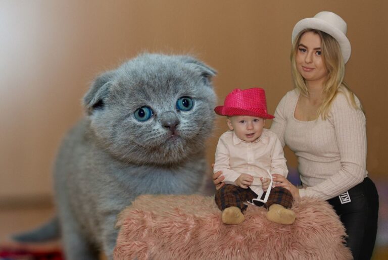 Sesja zdjęciowa w studiu na tle